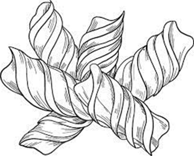 desenho macarrao para imprimir e pintar 1 desenho macarrao para imprimir e pintar 1