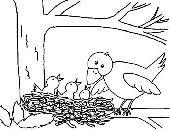 desenho ninho imprimir e pintar desenho ninho imprimir e pintar