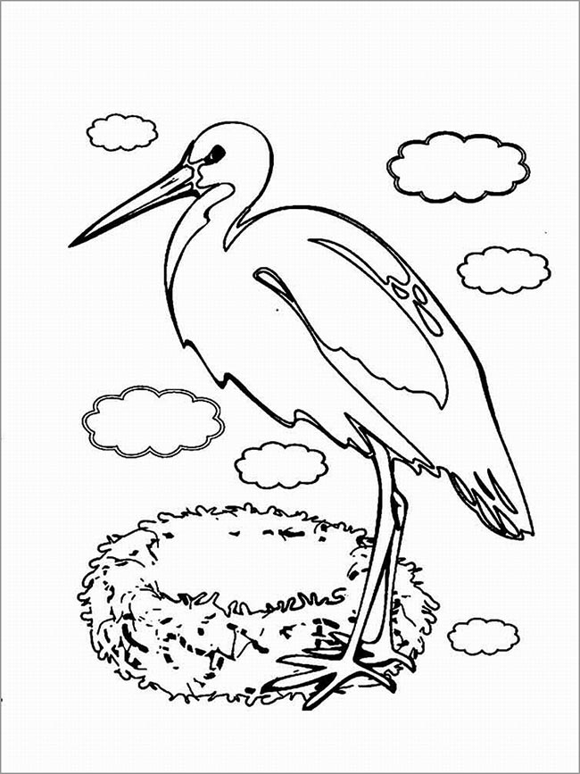 desenho ninho pintar e colorir desenho ninho pintar e colorir