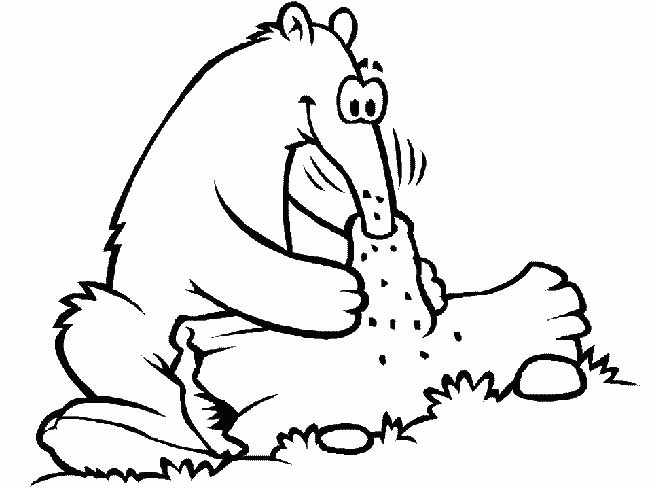 desenhos de Tamandua 1 4 desenhos de Tamandua 1 4