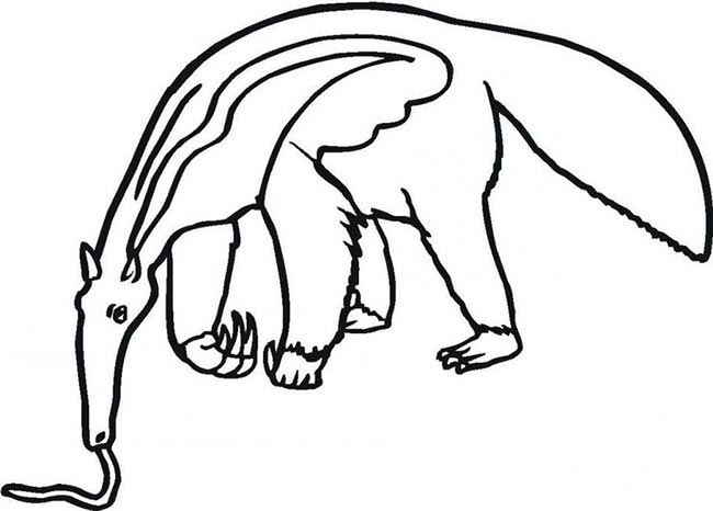 desenhos de Tamandua para imprimir 2 desenhos de Tamandua para imprimir 2