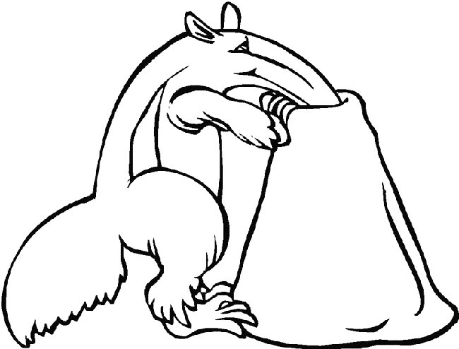 desenhos de Tamandua para pintar 3 desenhos de Tamandua para pintar 3