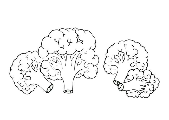 desenhos de brocolis desenhos de brocolis
