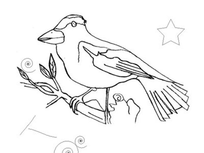 25+ Desenhos do Pássaro Quero Quero para Imprimir e Colorir