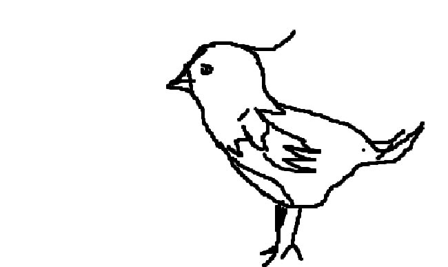 25+ Desenhos do Pássaro Quero Quero para Imprimir e Colorir