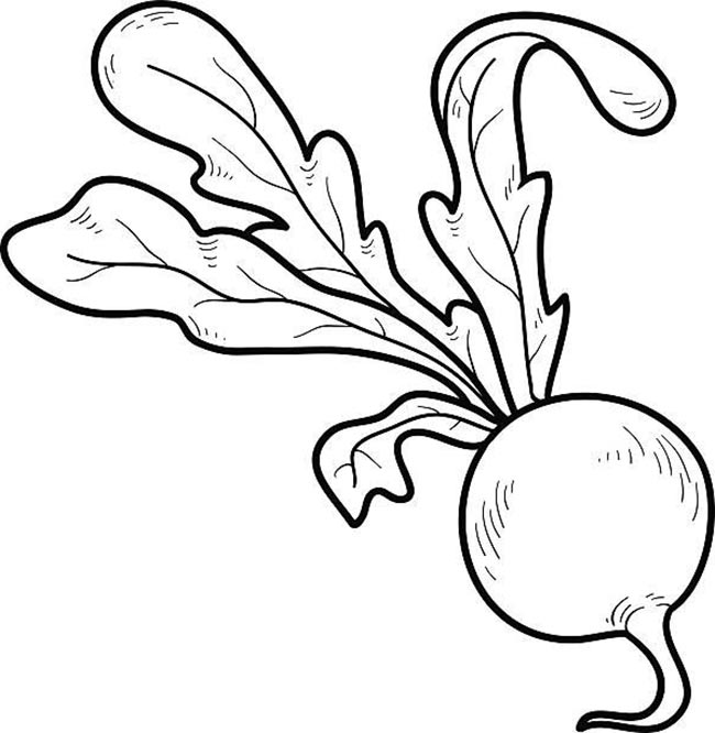 desenhos de rabanete para imprimir