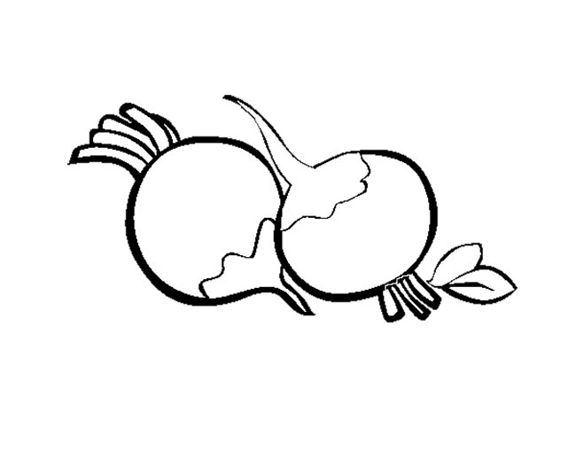 desenhos de rabanete para pintar
