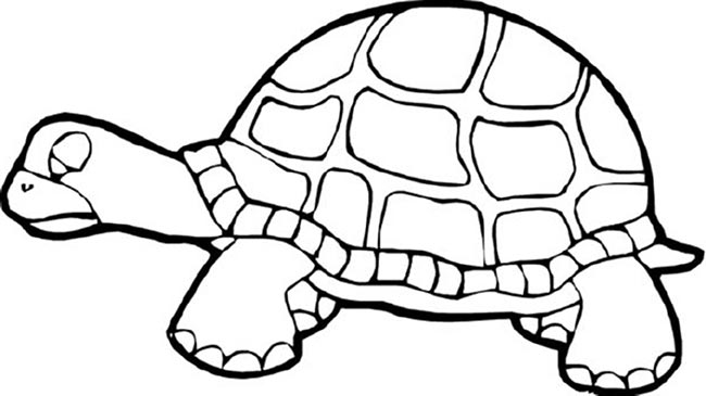 25+ Desenhos de Jabuti para Imprimir e Colorir/Pintar