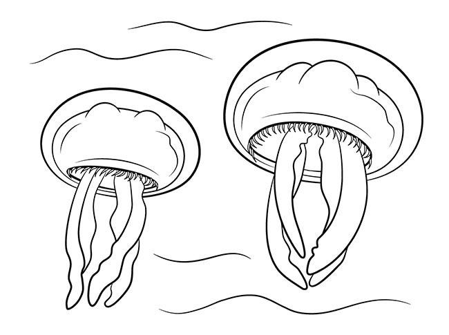 fundo do mar 3