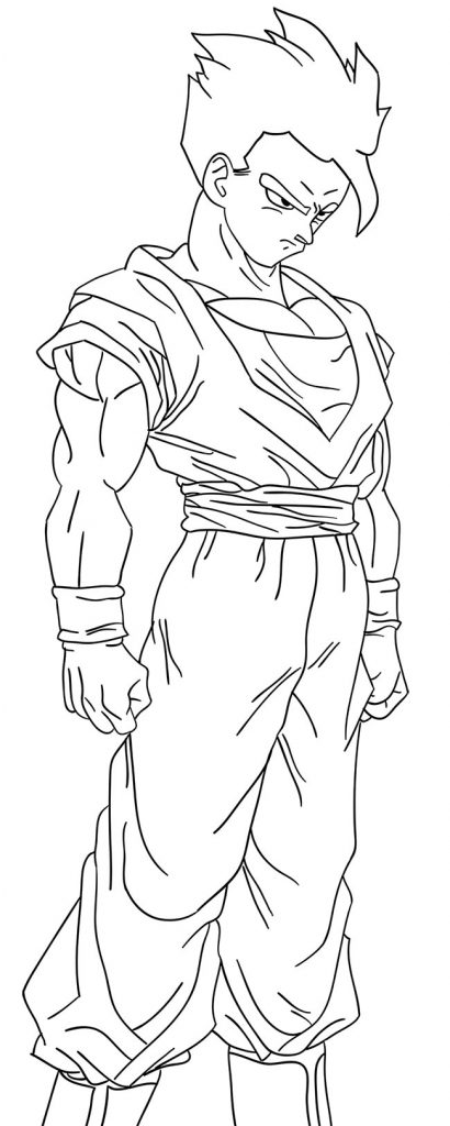 gohan adulto