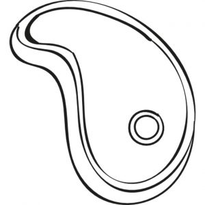 25+ Desenhos de Carne para Imprimir e Colorir/Pintar