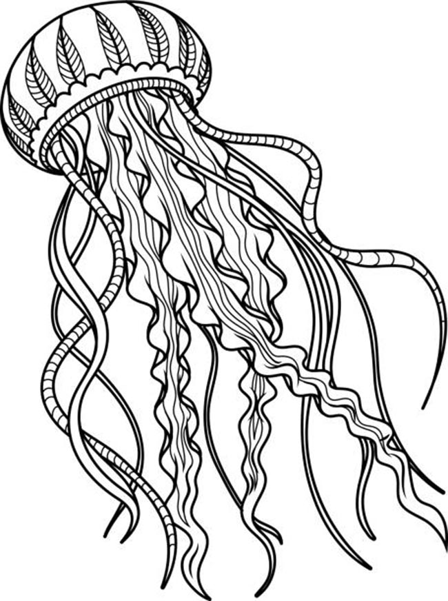 25+ Desenhos de Água Viva para Imprimir e Colorir/Pintar