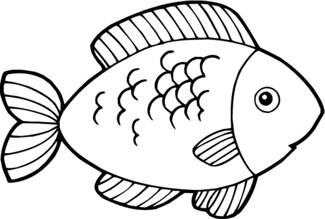 peixe para pintar