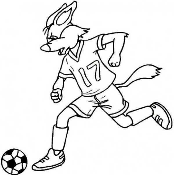 raposa com bola raposa com bola