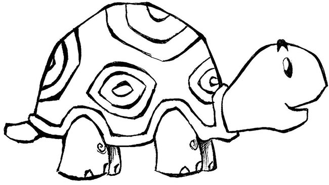 tartaruga