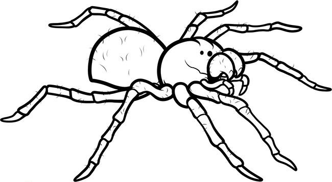 aracnideos 2 aracnideos 2
