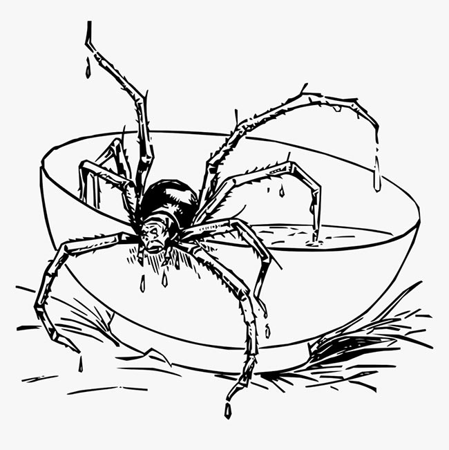 aracnideos para imprimir 2 aracnideos para imprimir 2