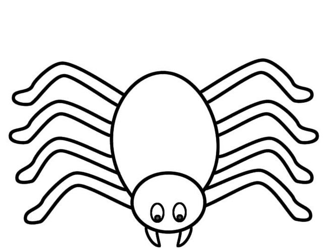 aranha para colorir 1 2 aranha para colorir 1 2