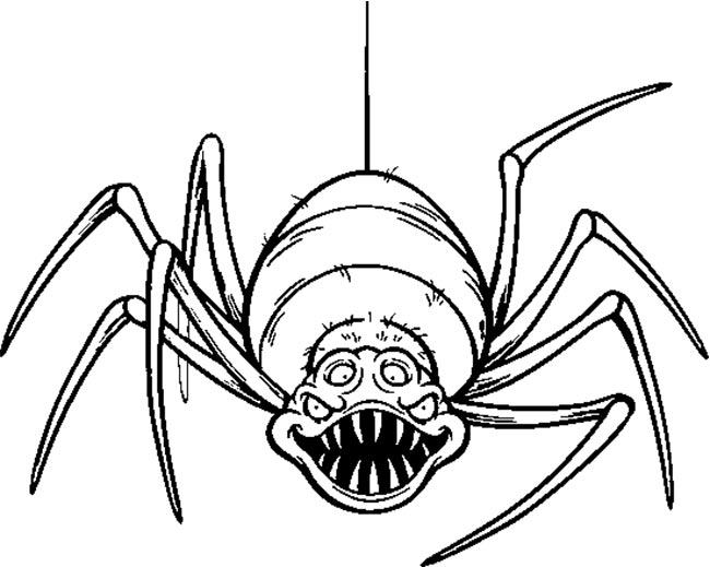 atividades de aranha 1