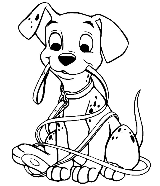 cachorro dalmatas com corda