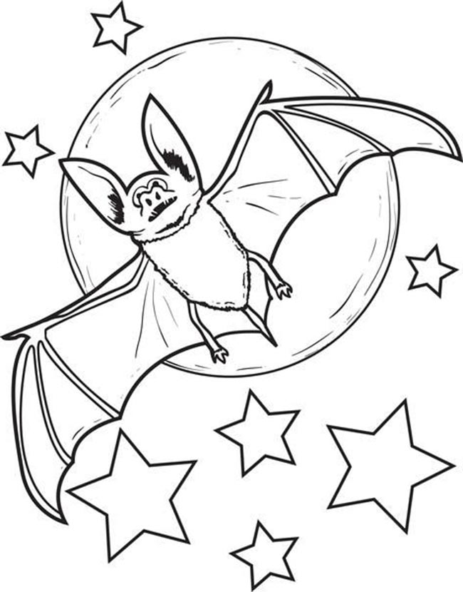 com estrelas com estrelas