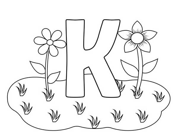 com flores 13