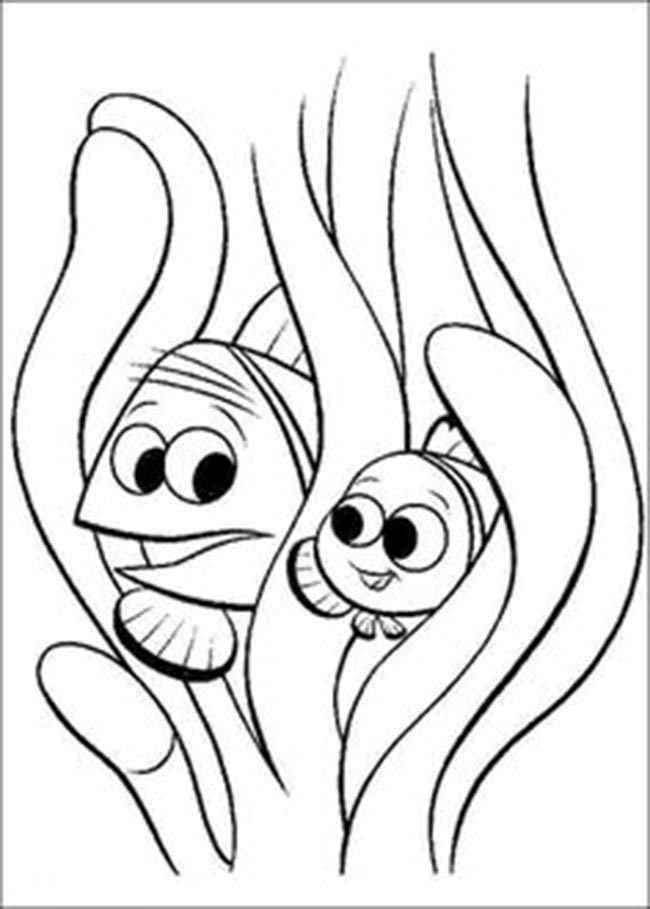 com nemo 2