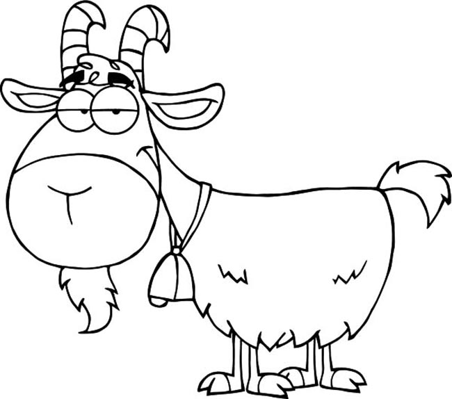 desenhos de animais