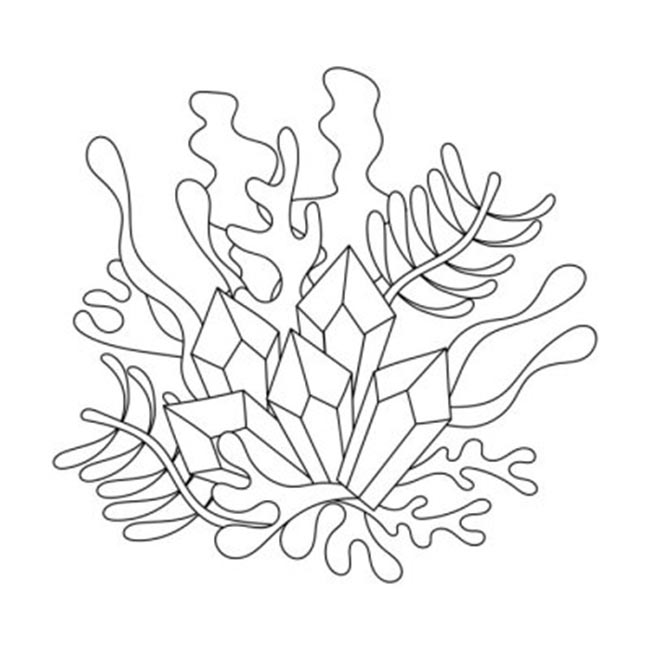 desenhos de plantas 2
