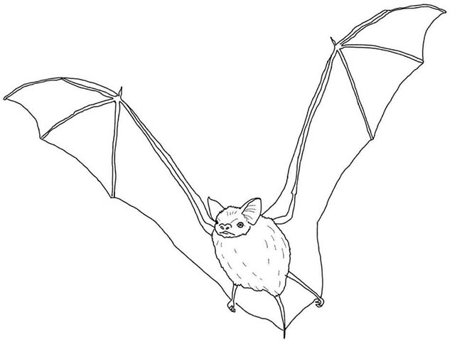 desenhos grandes 5 desenhos grandes 5