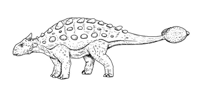 35+ Desenhos de Anquilossauro para Imprimir e Colorir/Pintar
