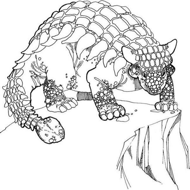 especies para pintar 1