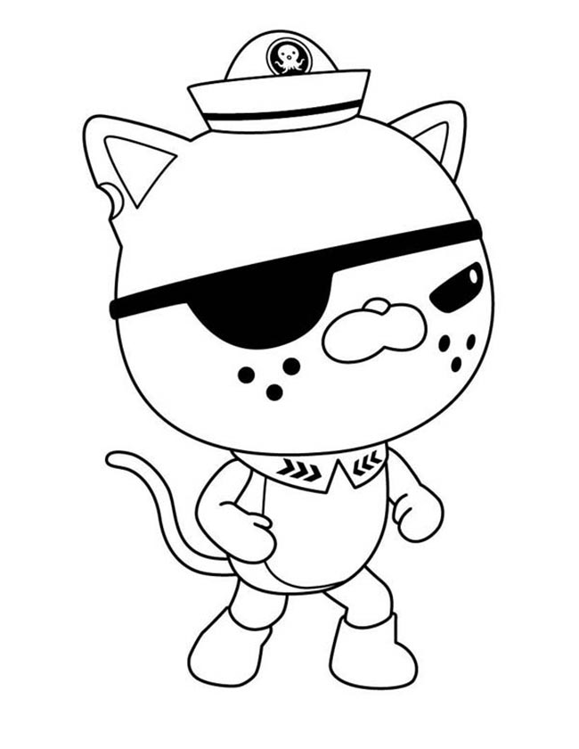 gato pirata 3