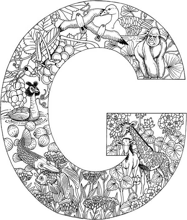 letra G 2