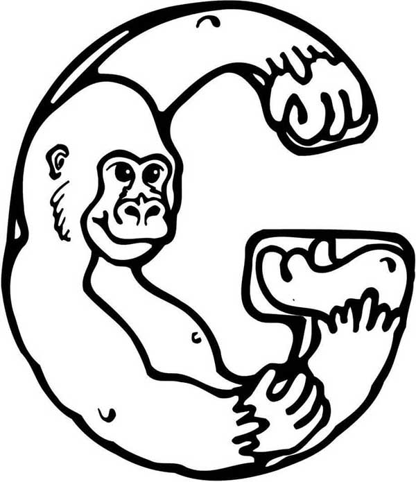 para pintar 29