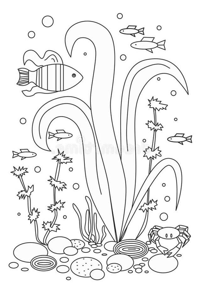 plantas aquaticas 1