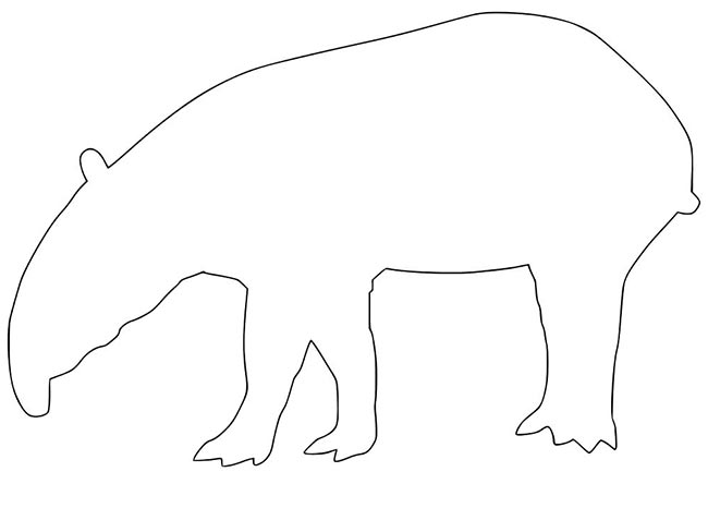 vetores de animais para colorir 2 vetores de animais para colorir 2