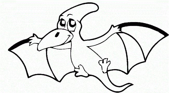 25+ Desenhos de Animais que Voam (Moldes para Imprimir e Pintar)