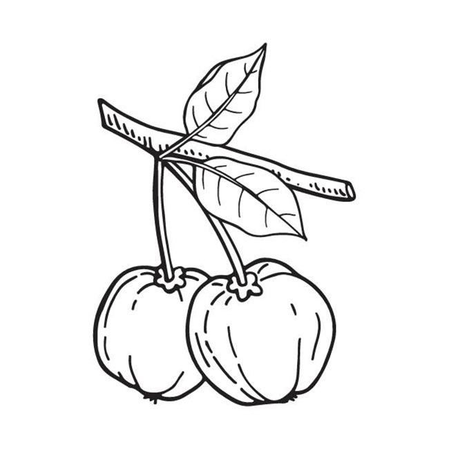 acerola
