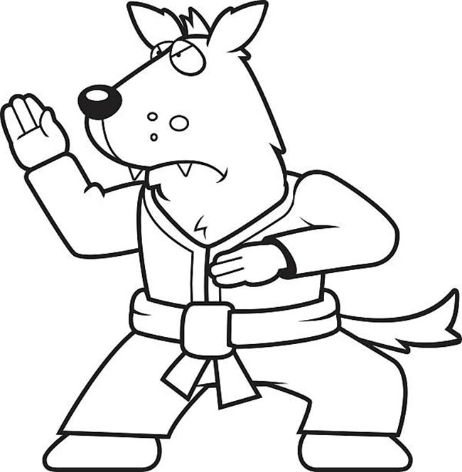 cachorro 2