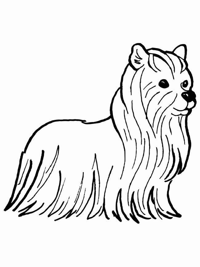 cachorro para imprimir 1