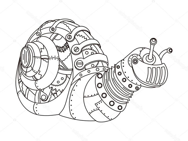 caracol 2