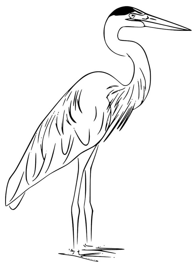 desenhos de garca para impressao 2 desenhos de garca para impressao 2