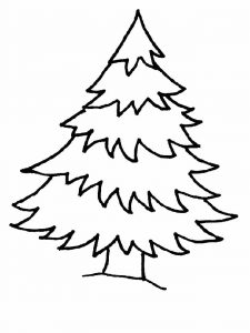 35+ Desenhos de Pinheiros para Imprimir e Colorir / Pintar