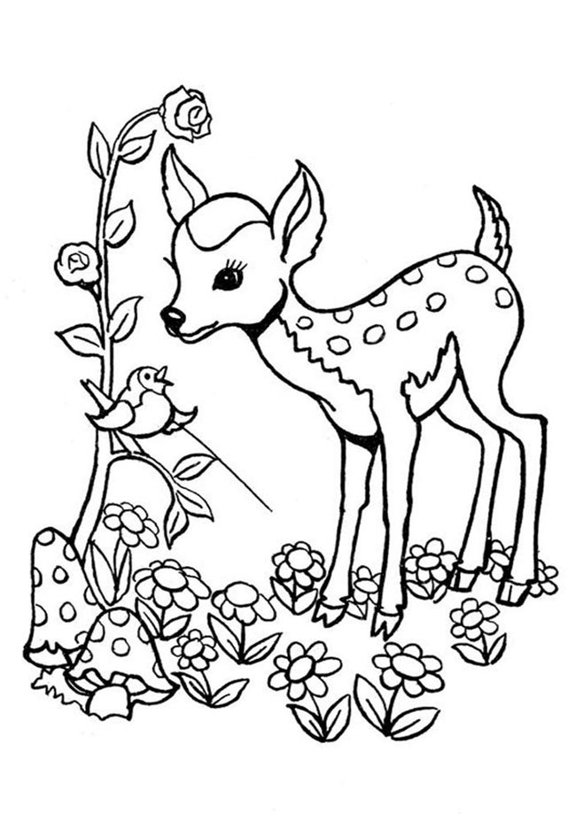desenhos de veado para colorir 2
