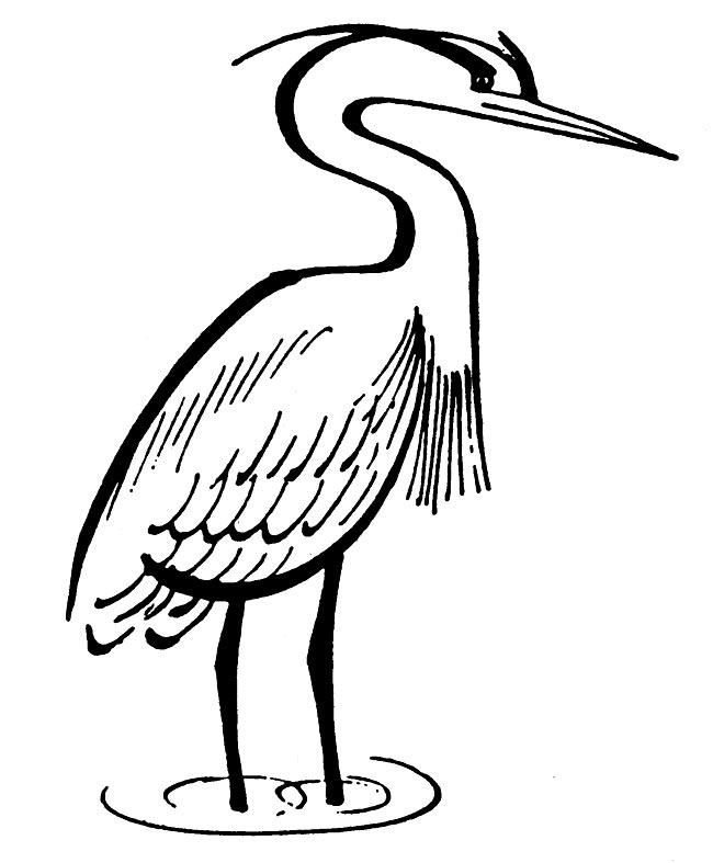 garca para colorir 2 2 garca para colorir 2 2