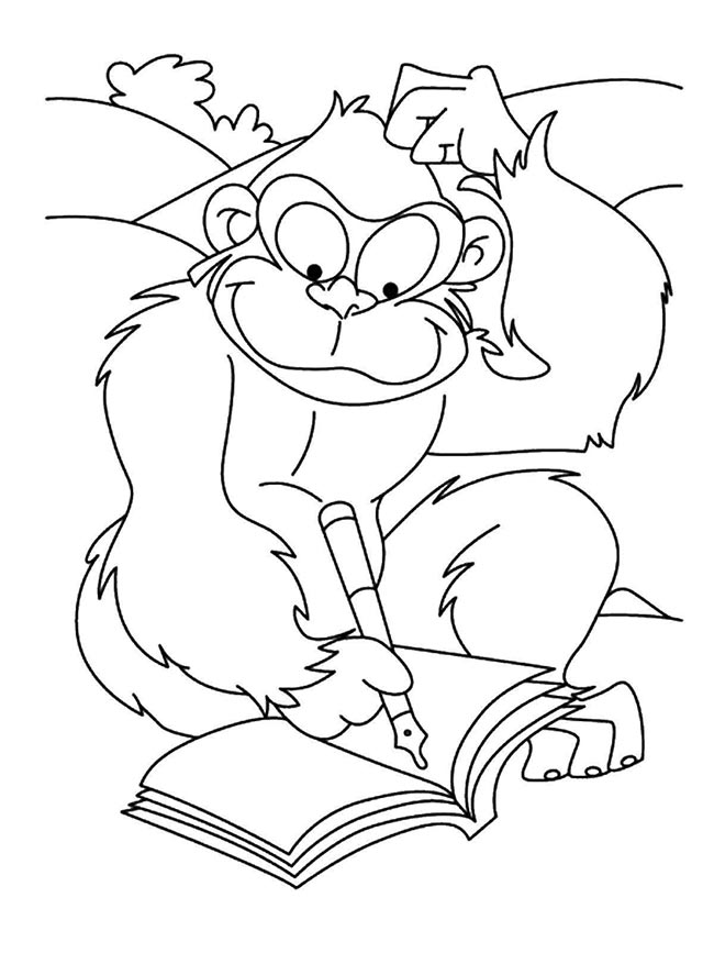 macaco 2
