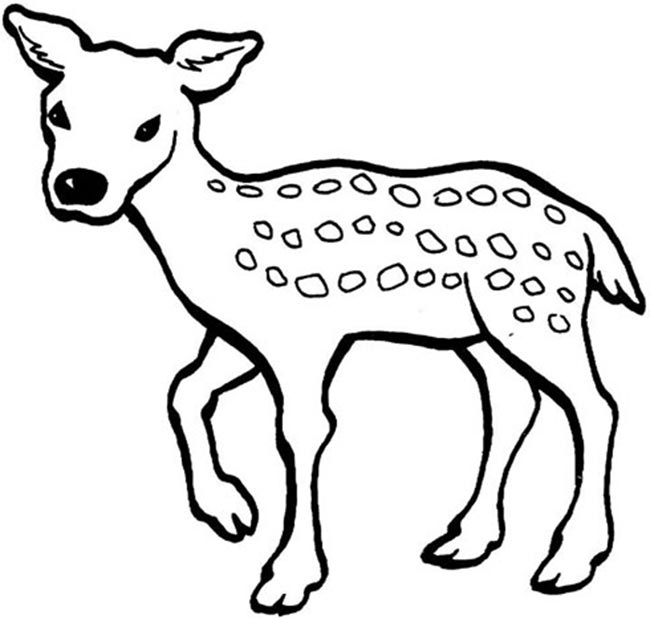 molde de veado para pintart 2