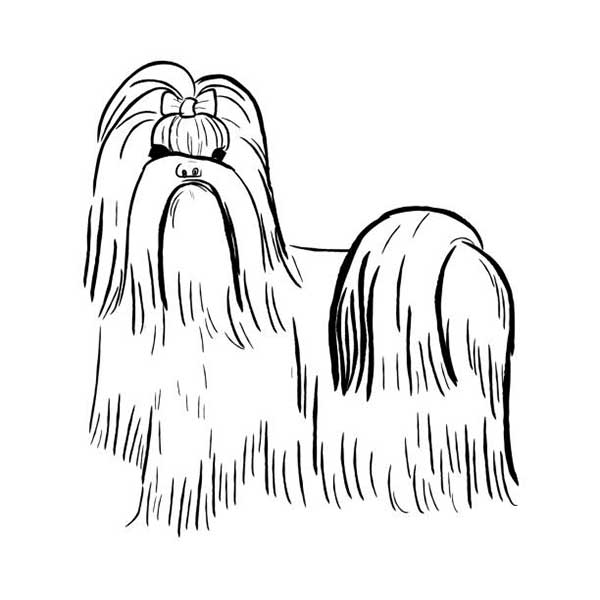vetor de Shih Tzu