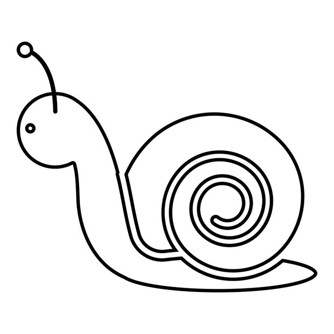 vetor de caracol 2